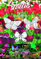 /album/galeria-de-fotos/a29-2515x3578-jpg/