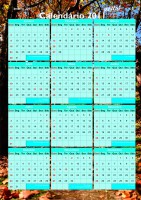 /album/galeria-de-fotos/a55-2515x3578-jpg/